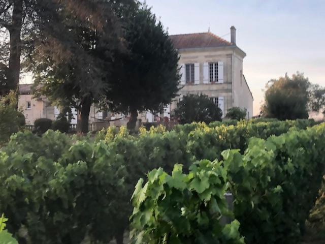 Chateau Couchebout Bed & Breakfast Pugnac Luaran gambar